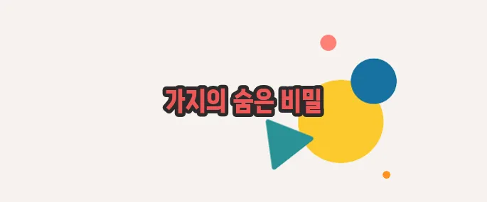 가지 효능 살짝 들여다봅시다