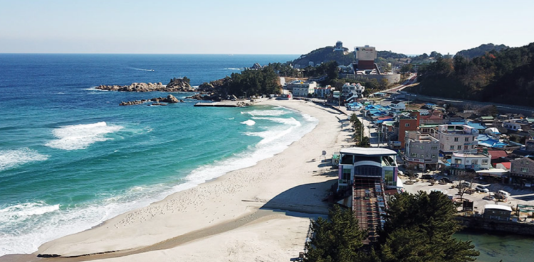 삼척 레일바이크