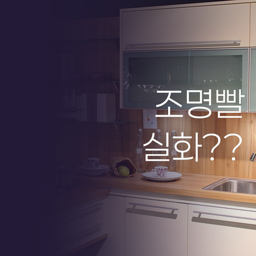 모던하우스 수저통 평점 4.9 비결은..