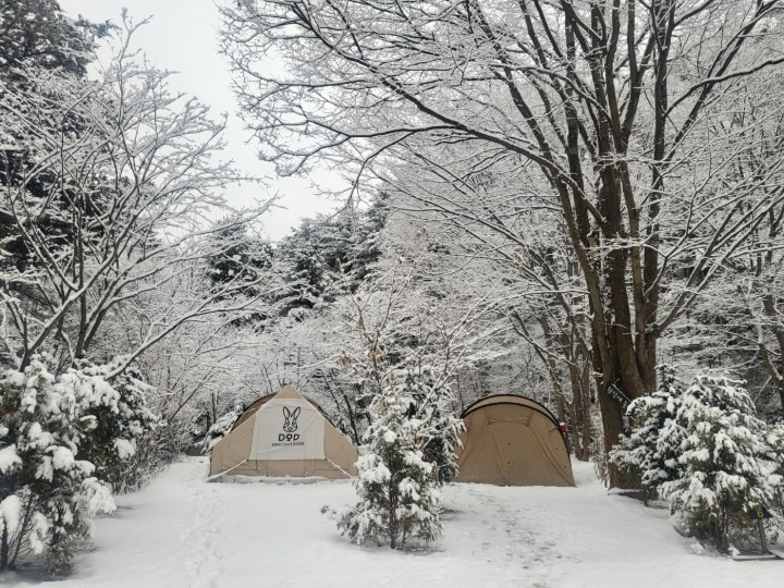 경기도 포천 인생캠핑장, 추천캠핑장