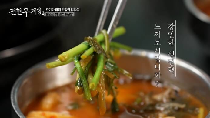 미나리