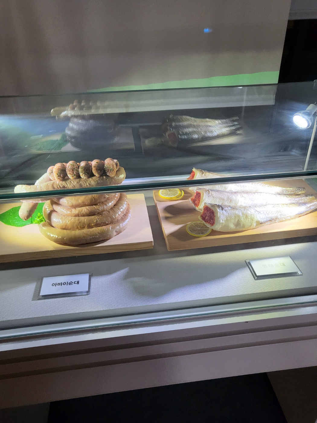 속초시립박물관의 모든 것: 입장료 할인부터 공연·체험 시간표까지! 아이와 내돈내산 100% 방문후기