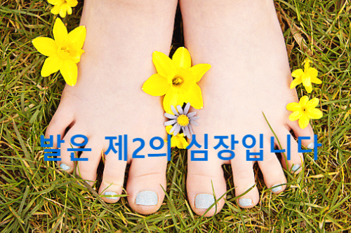 발이 건강해야 몸이 편합니다.