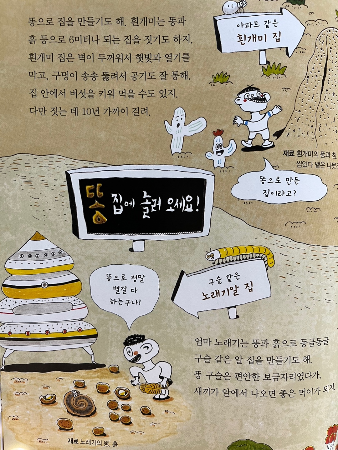 원리가 보이는 과학3
