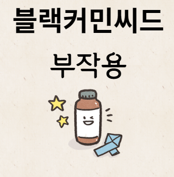 블랙커민씨드 부작용