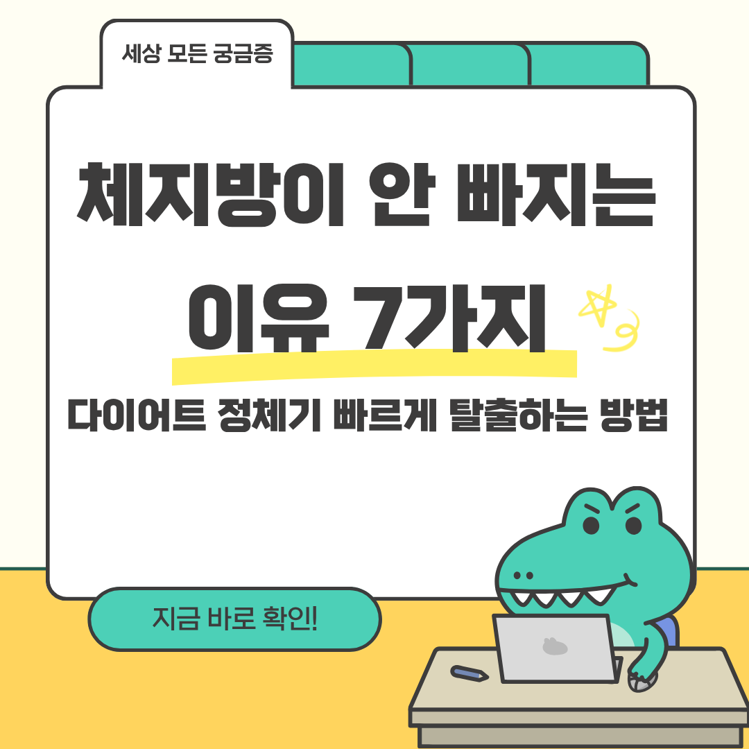 체지방이 안 빠지는 이유 7가지