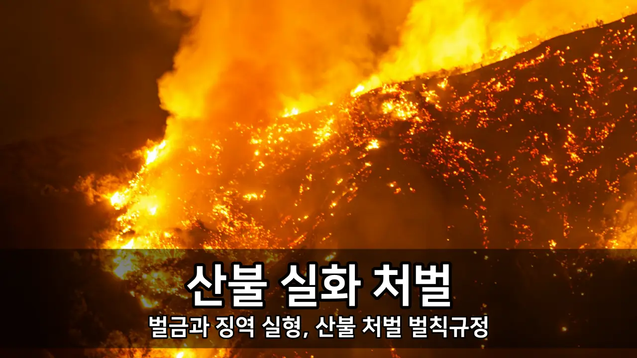 산불 실화 처벌 - 벌금과 징역 실형, 산불 처벌 벌칙규정