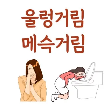 속 울렁거림 소화불량 외 원인과 몸 상태 신호 정리_12