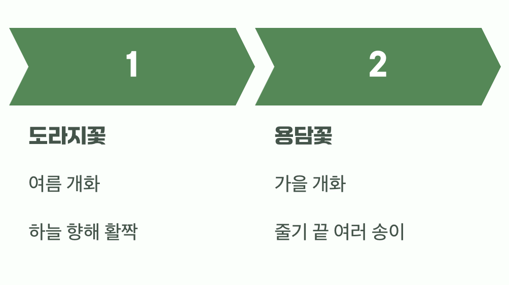 도라지꽃과 헷갈리지 마세요!