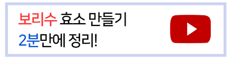 보리수효소만들기