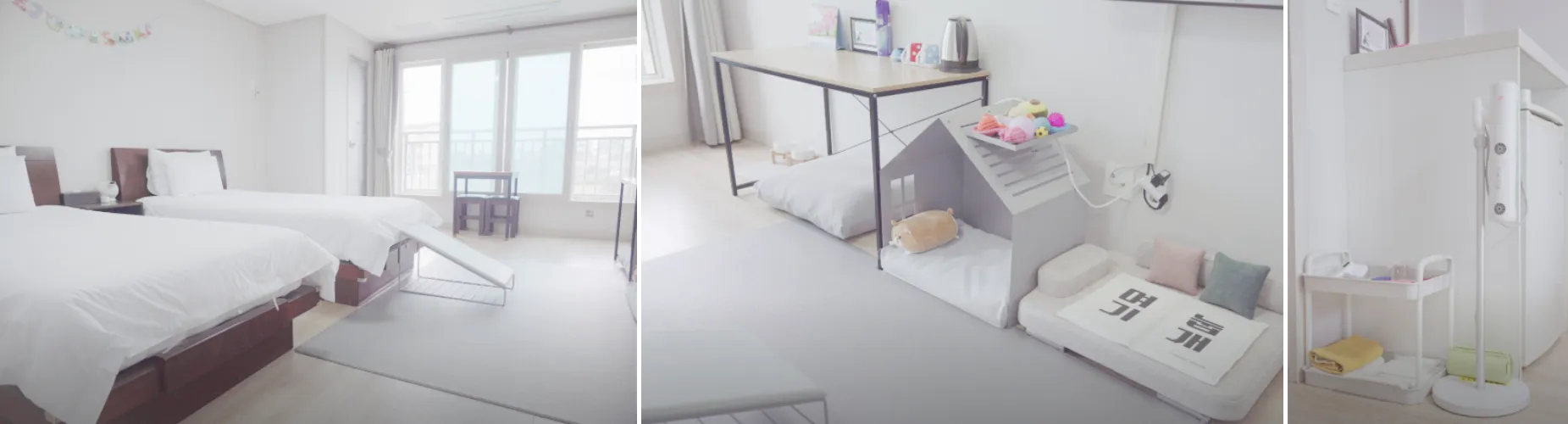 엔젤하우스 펜션 사진