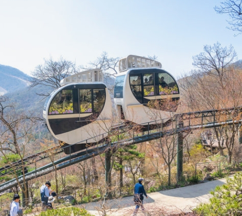 화담숲 수국 축제