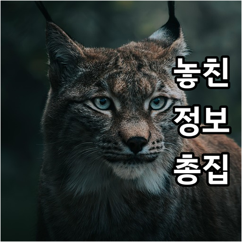 시설 벗어나 당당하게 2025 광주 ..