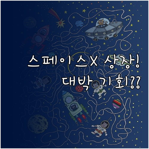 스페이스엑스 상장 후 주가 변동성 3..