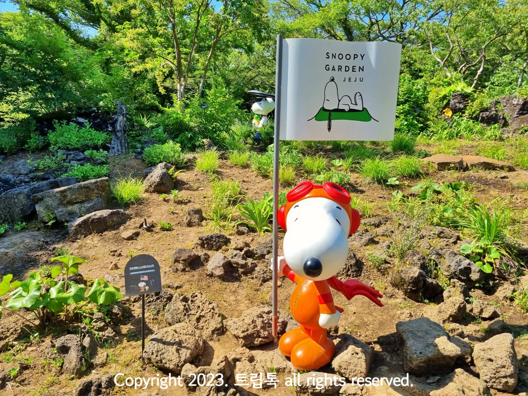 기장 옷을 입은 스누피가 깃발을 들고 있다