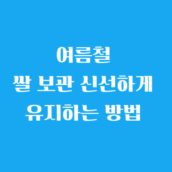 여름철 쌀 보관 (보관 법) 신선하게 유지하는 방법 알아보기