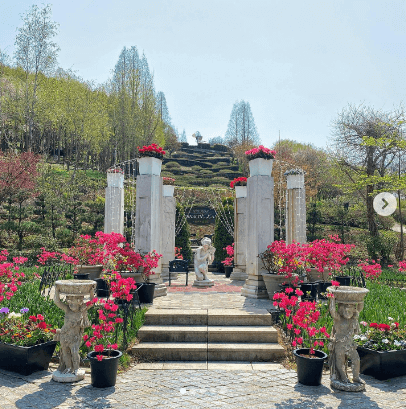 피나클랜드 튤립 수선화 봄꽃 축제 불꽃축제