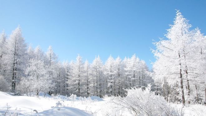 1월 산행지 추천: 눈산행지 좋은곳 겨울의 매력을 느낄 수 있는 산
