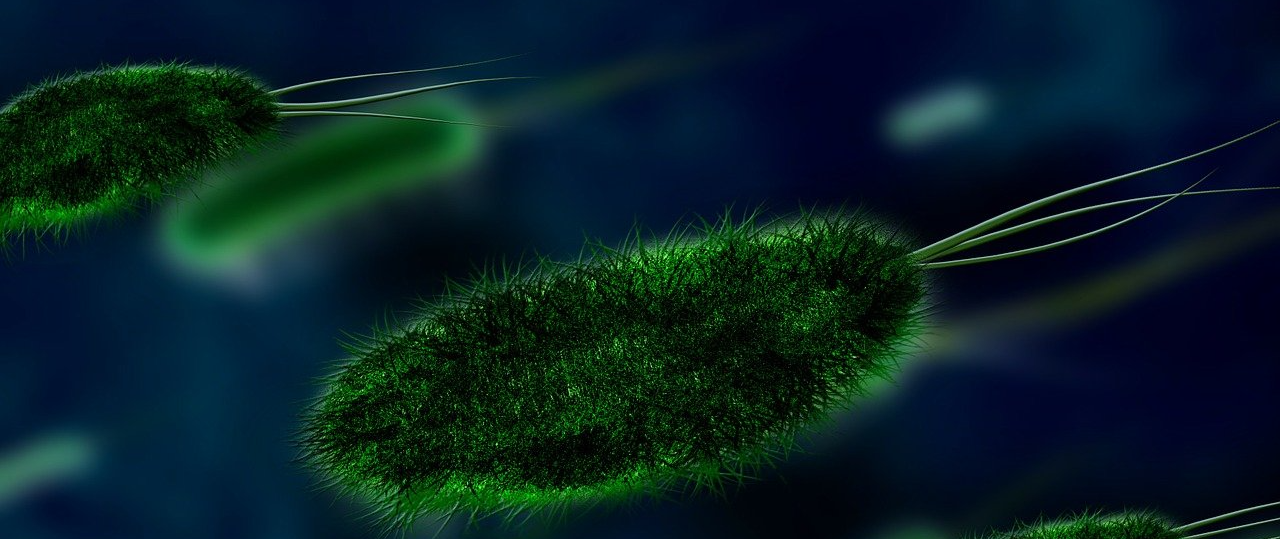 친환경 선박 코팅제 비교