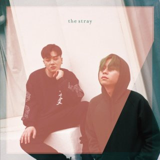 스트레이 밴드 소개