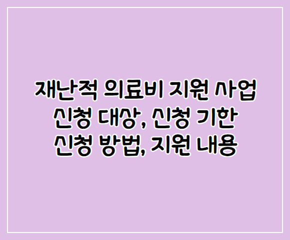 재난적의료비지원사업