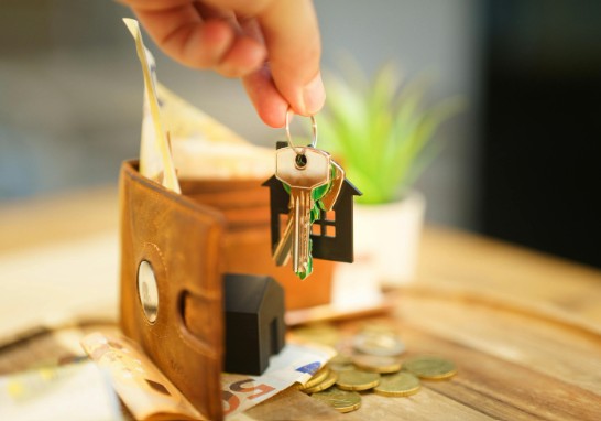 ์ฒญ๋
๋์ฝ๊ณ์ข ์กฐ๊ฑด