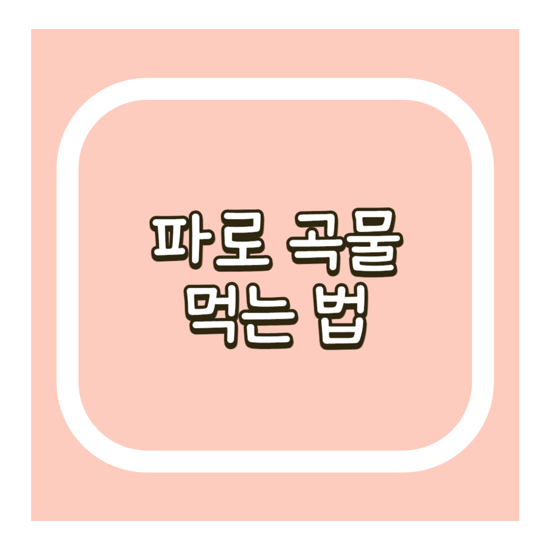 파로 곡물 먹는법