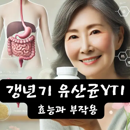 갱년기 유산균YT1 효능 부작용