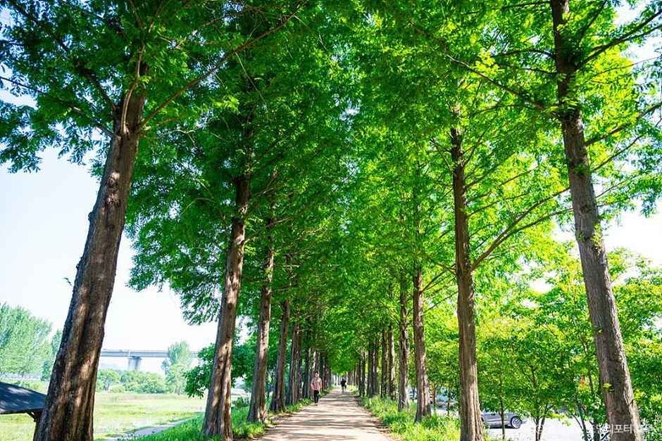 공주 가볼만한곳 베스트10