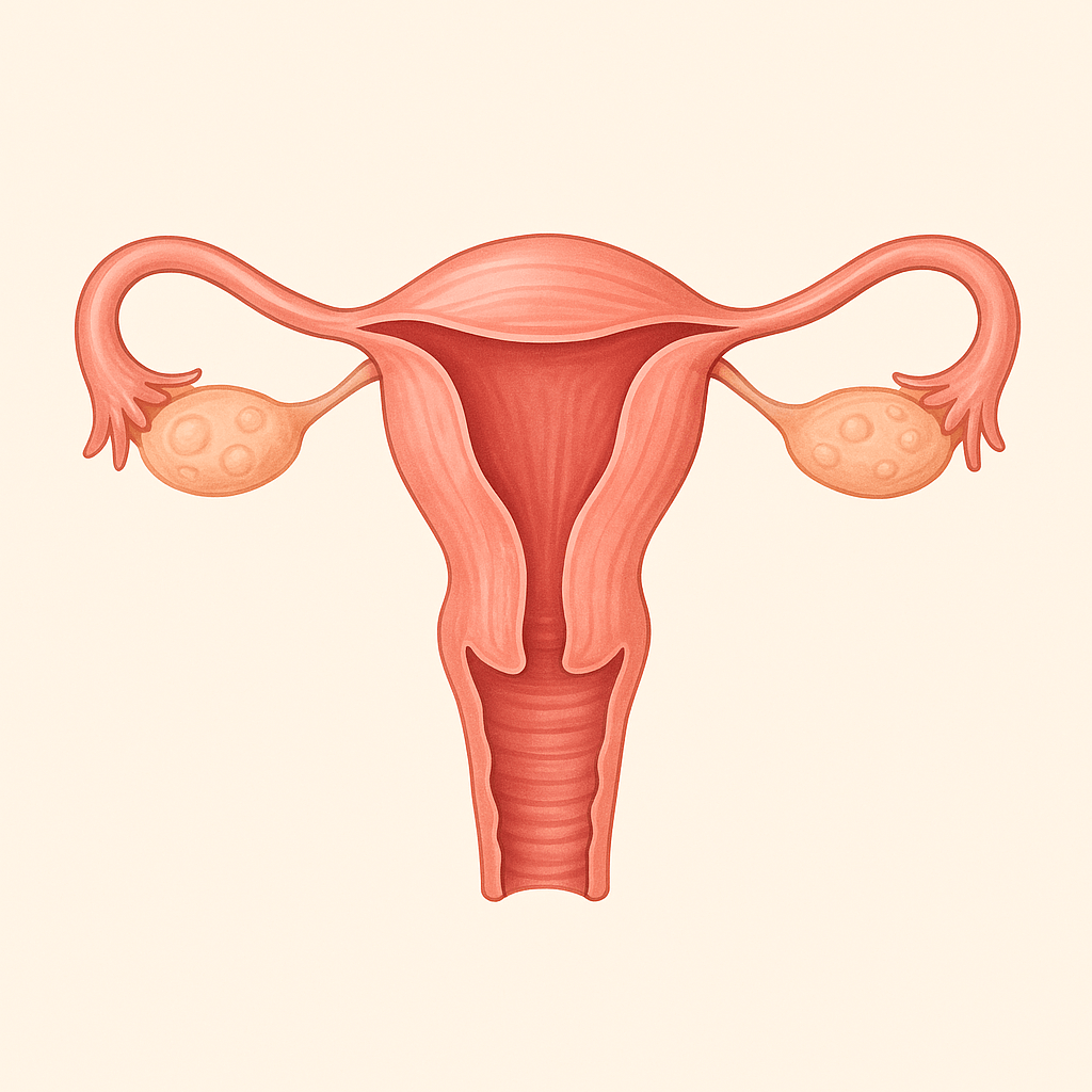 생리통 통증별 약 종류 정리