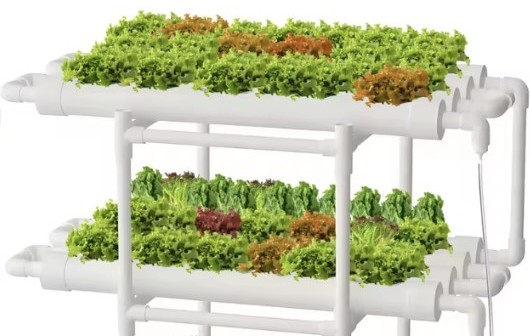 수경채소재배방법, 종류, 기르기(키우기), 영양제