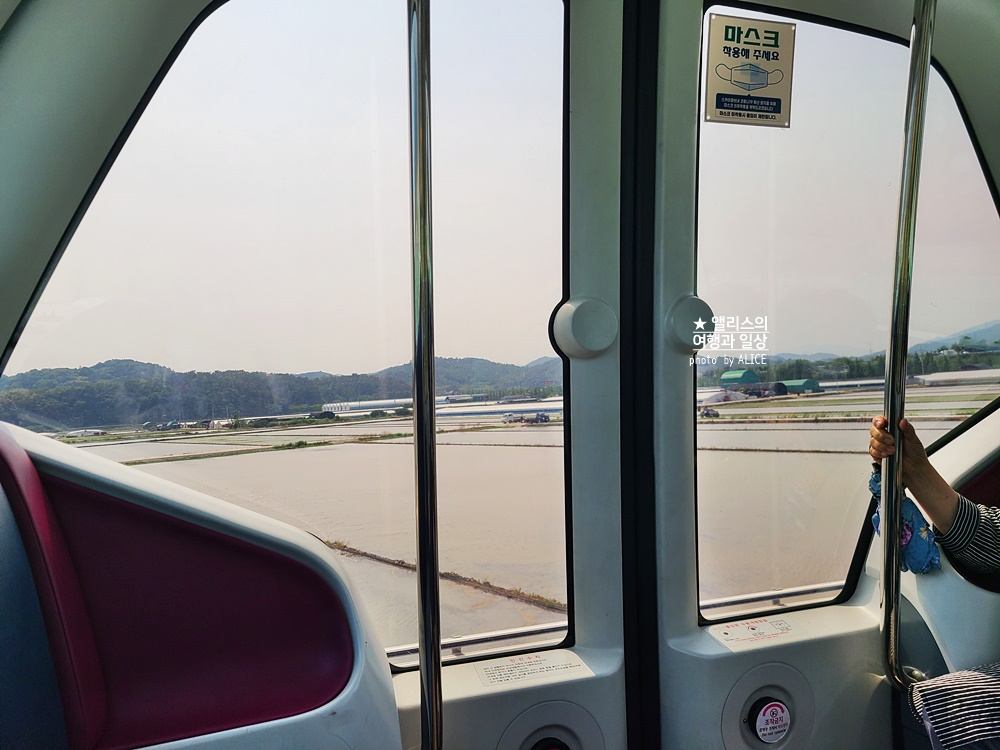 순천만국가정원 입장료 통합권 주차장 스카이큐브 갈대열차 관람차 후기