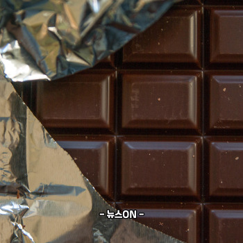 철분 많은 음식