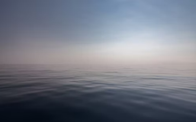 사진 : istock 고요한 자연 이미지