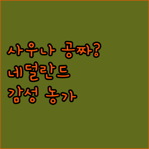 나만 알고 싶은 네덜란드 농가 주택 ..