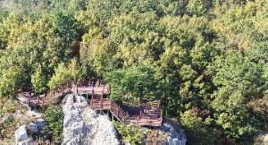 완도여객선터미널 청산도 배편 예약과 시간표 및 운임요금 및 주차요금 관련사진