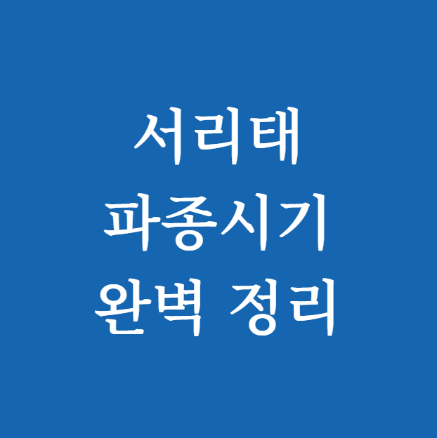서리태 파종시기 썸네일