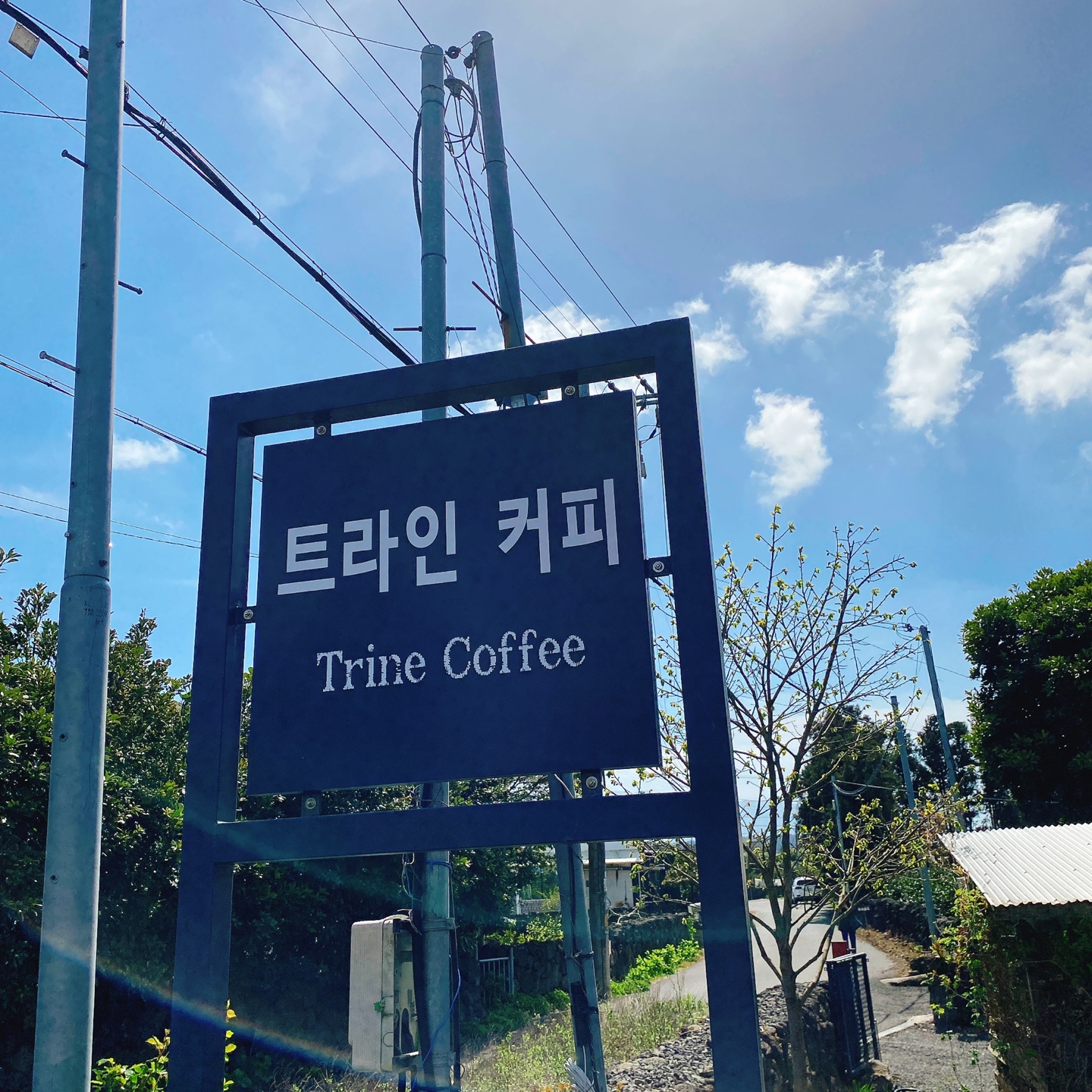 제주 조천 와흘메밀마을 하겐다즈아몬드아포가토 트라인커피 조천카페