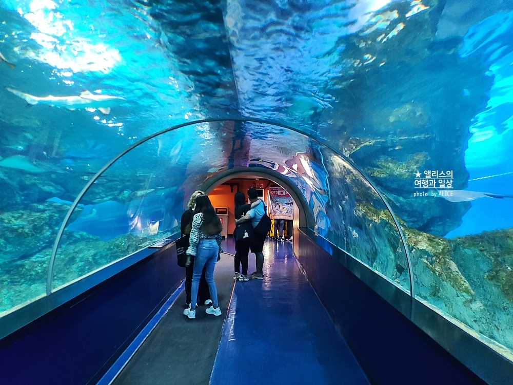 더운 여름 시원한 서울 실내 가볼만한곳 BEST 05