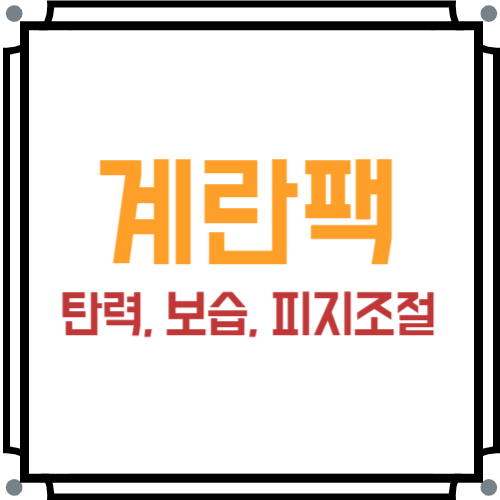 계란팩