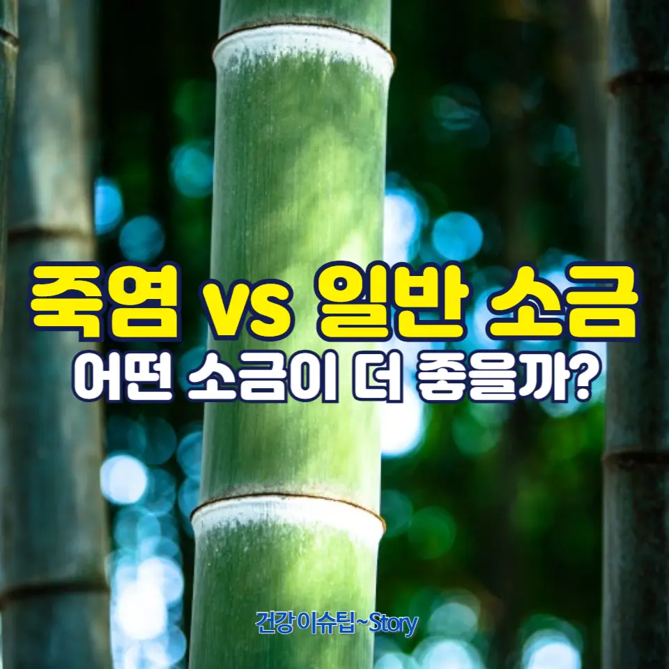 죽염 vs 일반 소금
