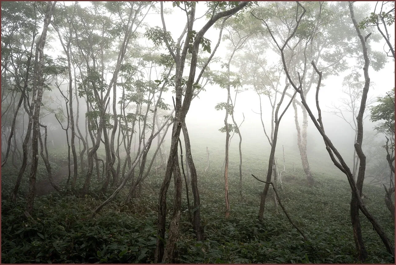 은행 정기예금 금리비교