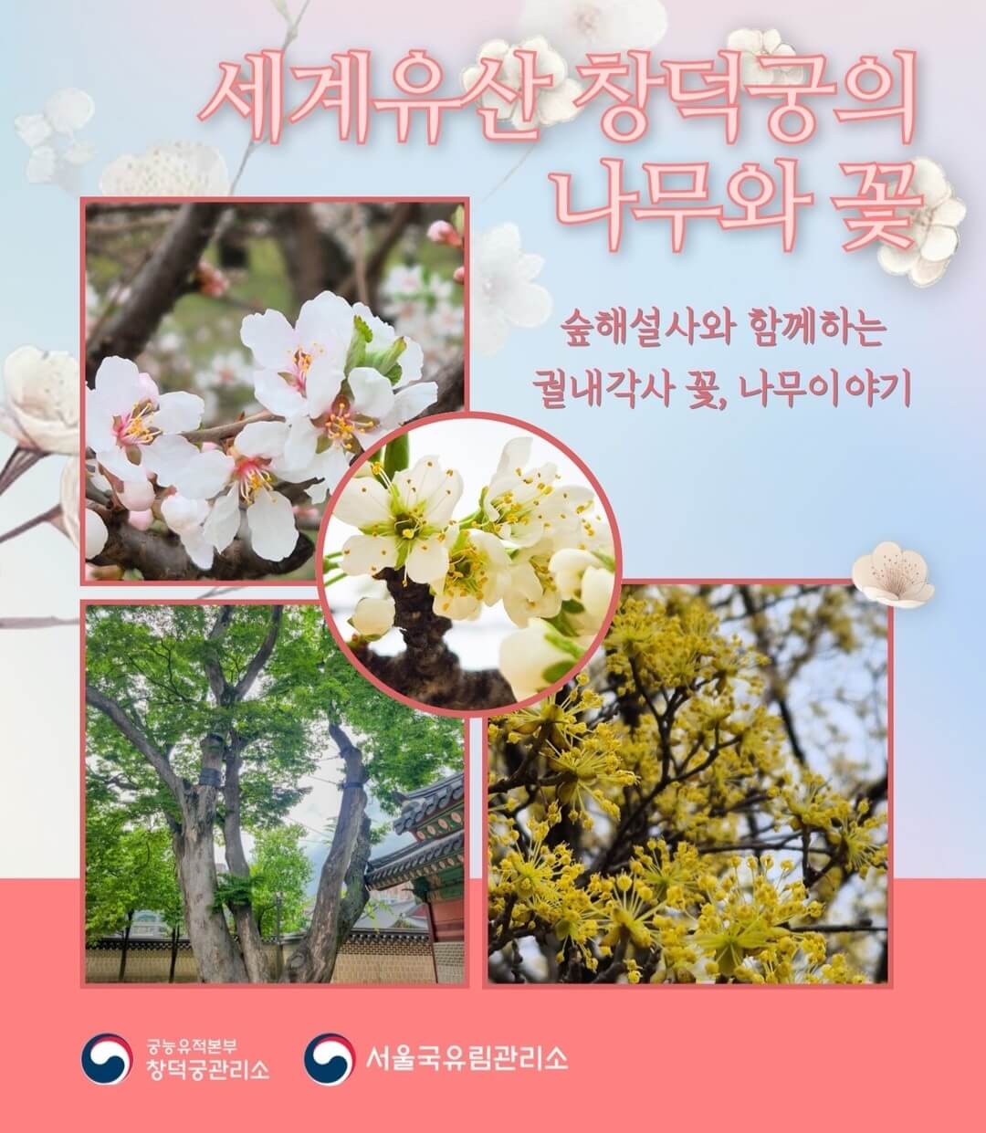 창덕궁 나무와 꽃 숲해설 사전 예약