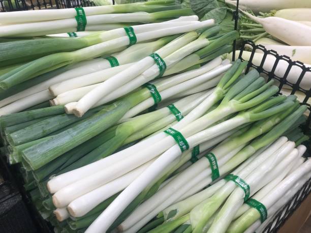 몇개씩-묶여있는-파