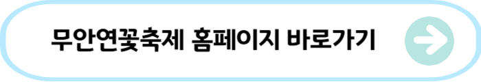 회산백련지-무안연꽃축제