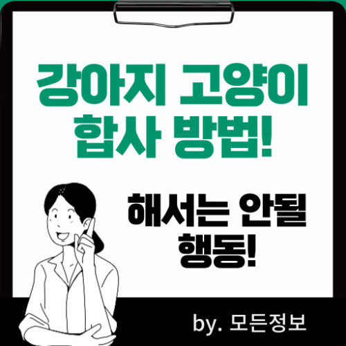 강아지와 고양이 합사 하는 방법