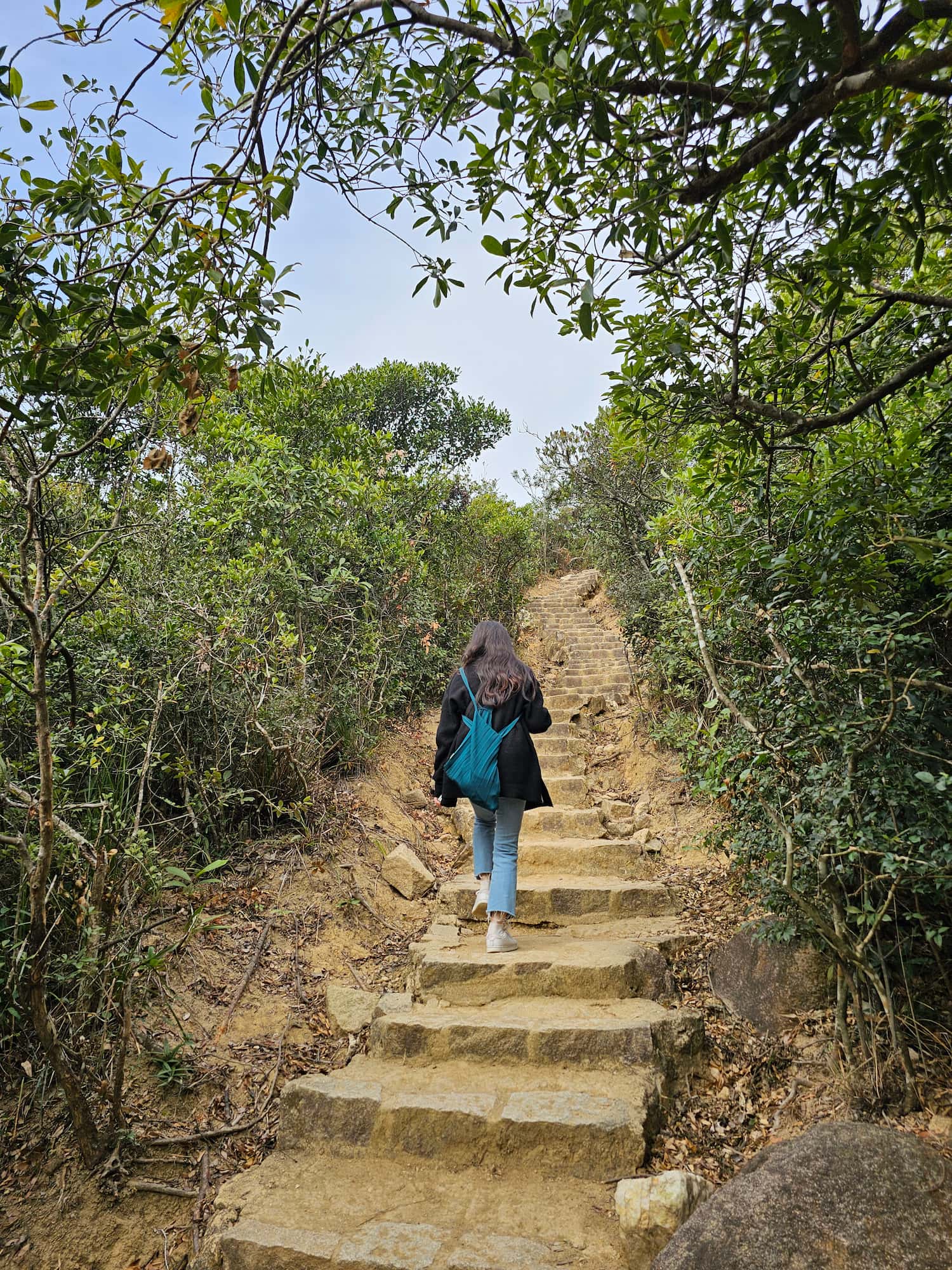 드래곤즈 백 후기