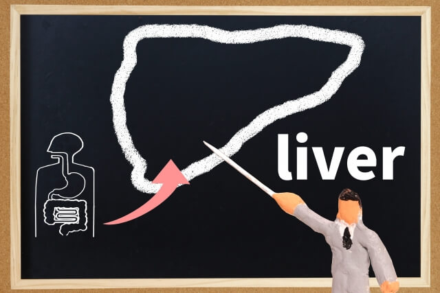 간암 초기증상 좋은음식 검사방법 