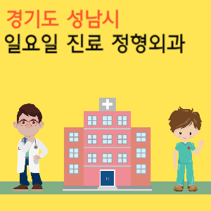 경기도 성남시 일요일 진료 정형외과
