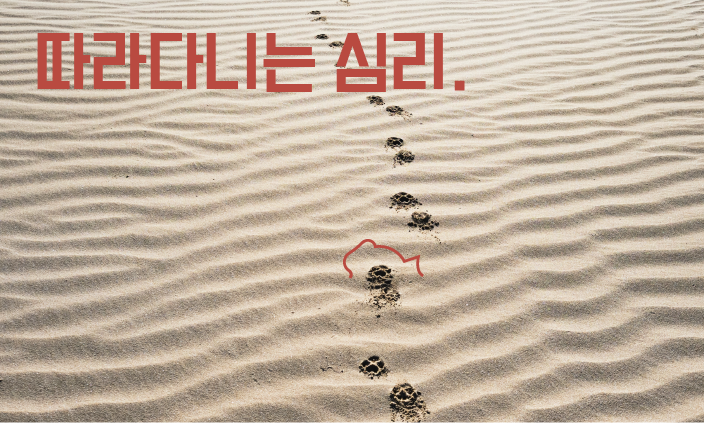 따라다니는-강아지